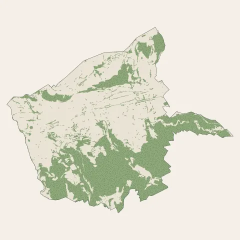Le Chambon-Feugerolles : bois, forêts et landes