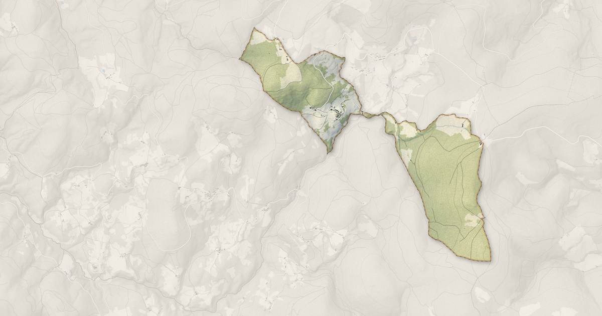 Portrait cartographique de La Chambonie : relief, eau, forêts, bâti et voies, calculés à partir des données de l'IGN