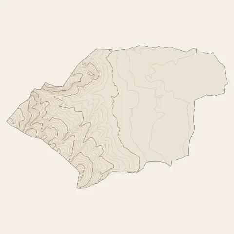Champdieu : courbes de niveau