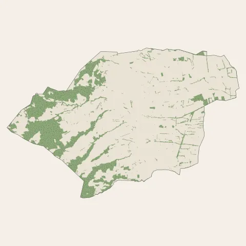 Champdieu : bois, forêts et landes
