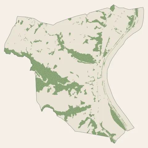 Chavanay : bois, forêts et landes
