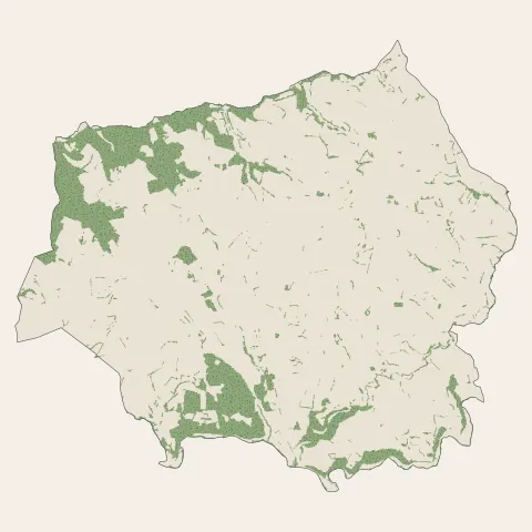 Chazelles-sur-Lyon : bois, forêts et landes