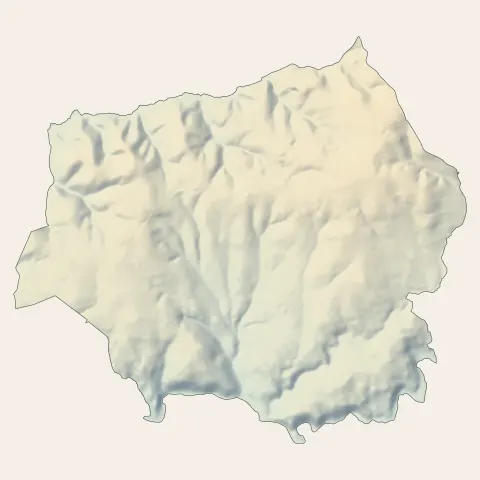 Chazelles-sur-Lyon : relief