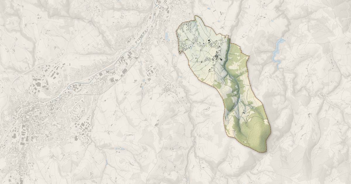 Portrait cartographique de Farnay : relief, eau, forêts, bâti et voies, calculés à partir des données de l'IGN