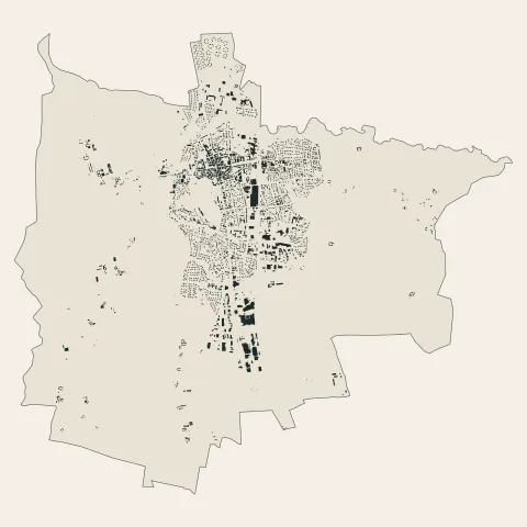 Feurs : bâti