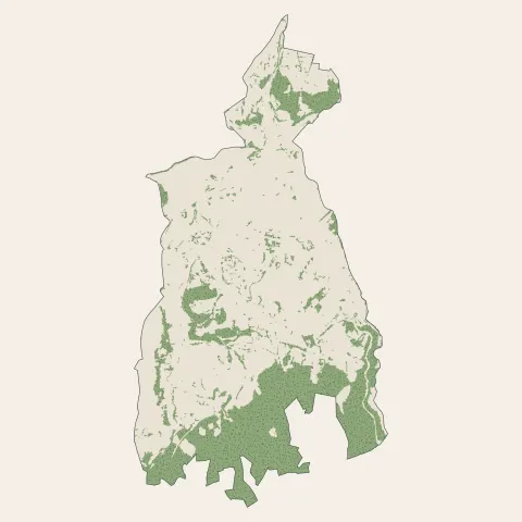 Firminy : bois, forêts et landes