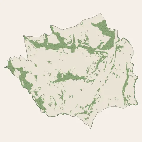 La Grand-Croix : bois, forêts et landes