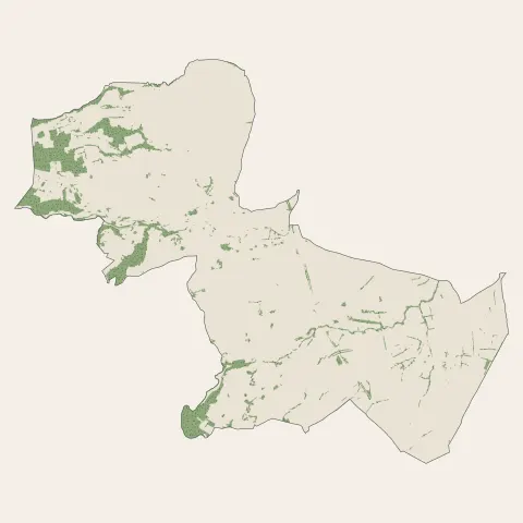 Montbrison : bois, forêts et landes