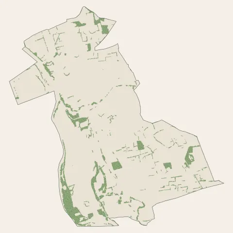 Montrond-les-Bains : bois, forêts et landes