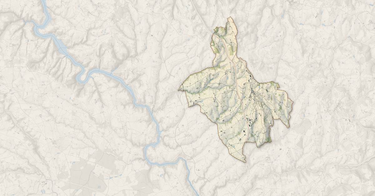 Portrait cartographique de Neulise : relief, eau, forêts, bâti et voies, calculés à partir des données de l'IGN