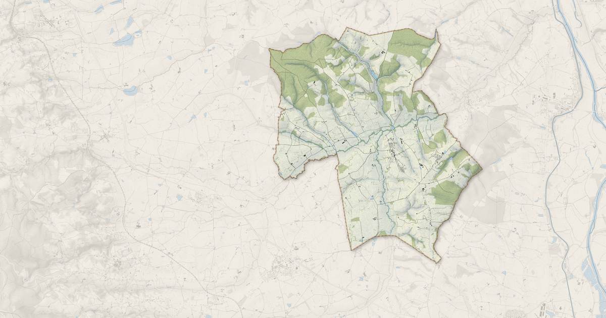 Portrait cartographique de Noailly : relief, eau, forêts, bâti et voies, calculés à partir des données de l'IGN