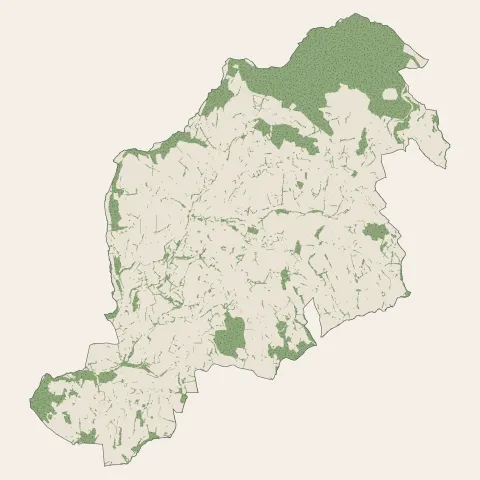 Panissières : bois, forêts et landes