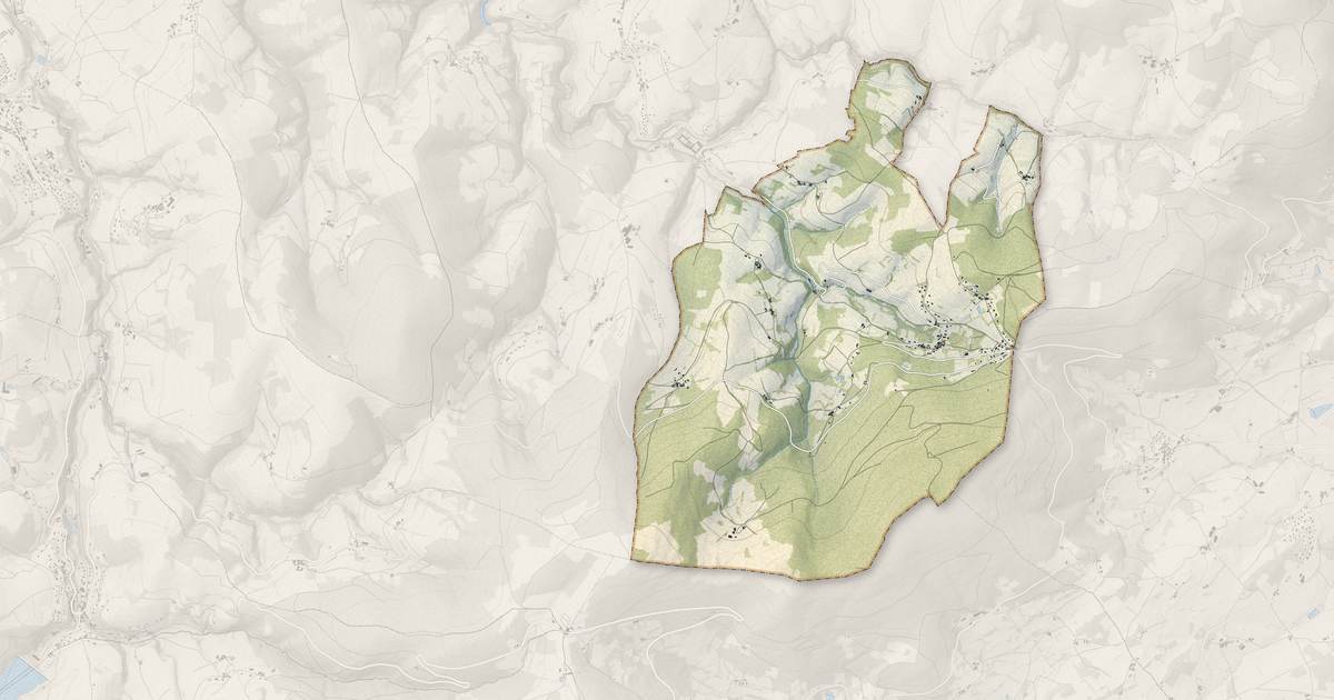 Portrait cartographique de Pavezin : relief, eau, forêts, bâti et voies, calculés à partir des données de l'IGN