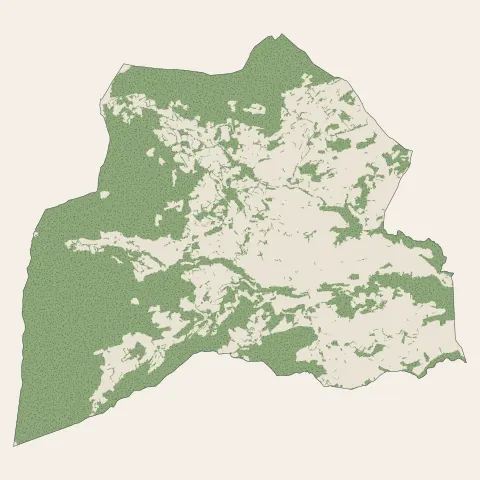Pélussin : bois, forêts et landes