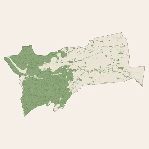 Renaison : bois, forêts et landes