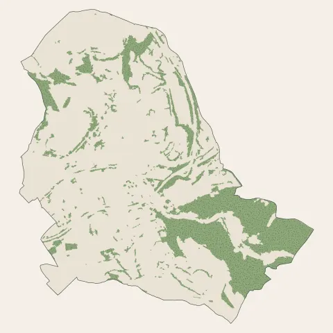 La Ricamarie : bois, forêts et landes