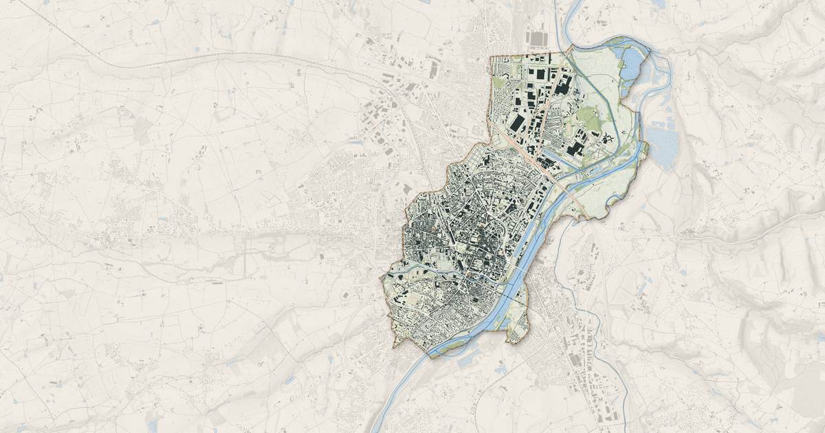 Portrait cartographique de Roanne : relief, eau, forêts, bâti et voies, calculés à partir des données de l'IGN