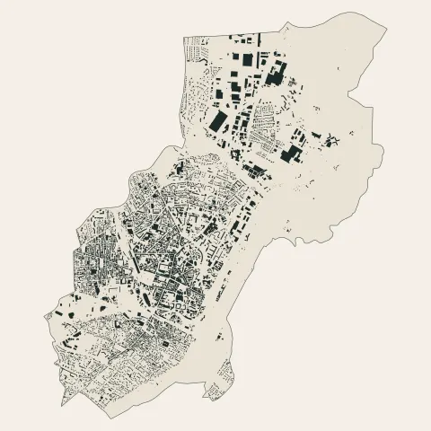 Roanne : bâti