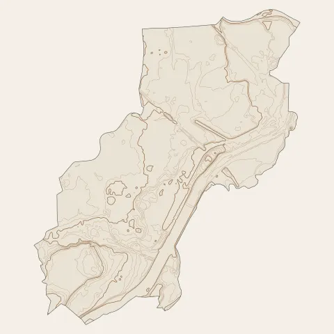 Roanne : courbes de niveau