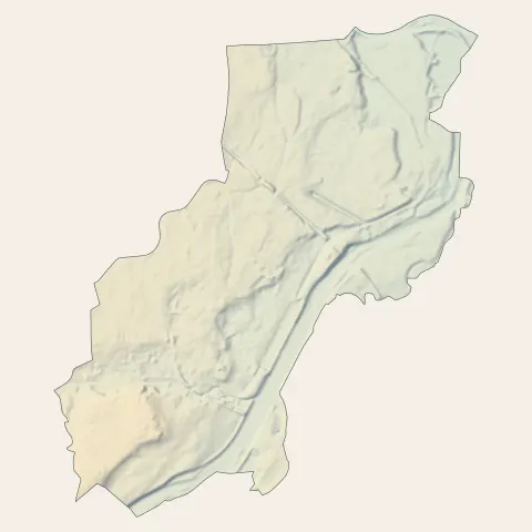 Roanne : relief