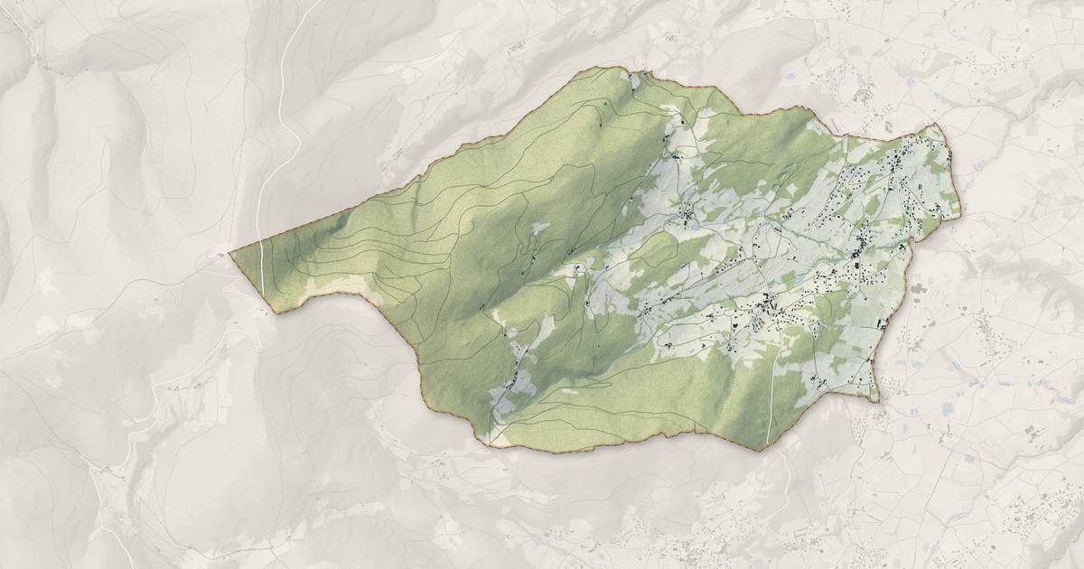 Portrait cartographique de Roisey : relief, eau, forêts, bâti et voies, calculés à partir des données de l'IGN