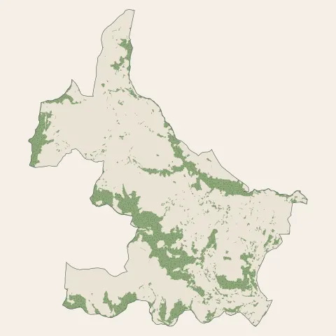 Genilac : bois, forêts et landes