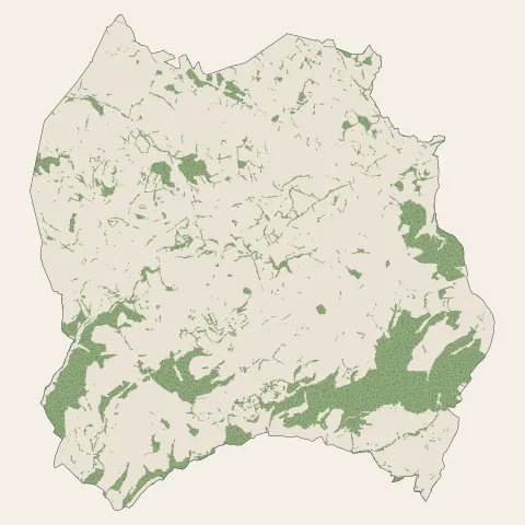 Saint-Héand : bois, forêts et landes