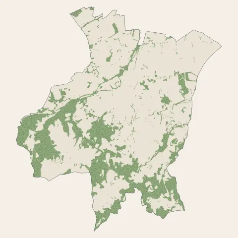 Saint-Marcellin-en-Forez : bois, forêts et landes