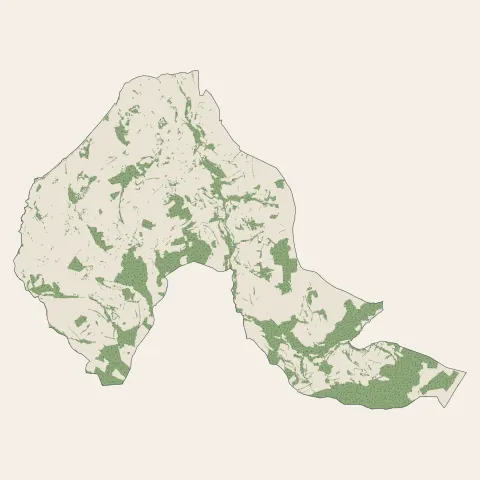 Saint-Paul-en-Jarez : bois, forêts et landes