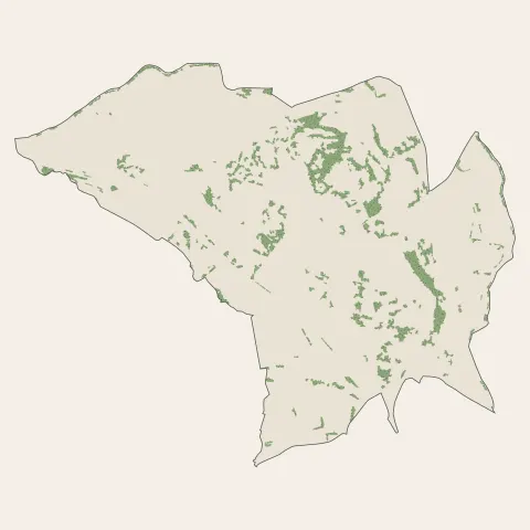 Saint-Priest-en-Jarez : bois, forêts et landes