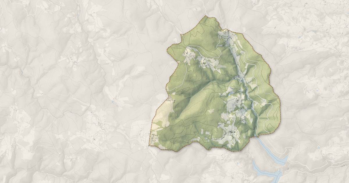 Portrait cartographique de Saint-Rirand : relief, eau, forêts, bâti et voies, calculés à partir des données de l'IGN