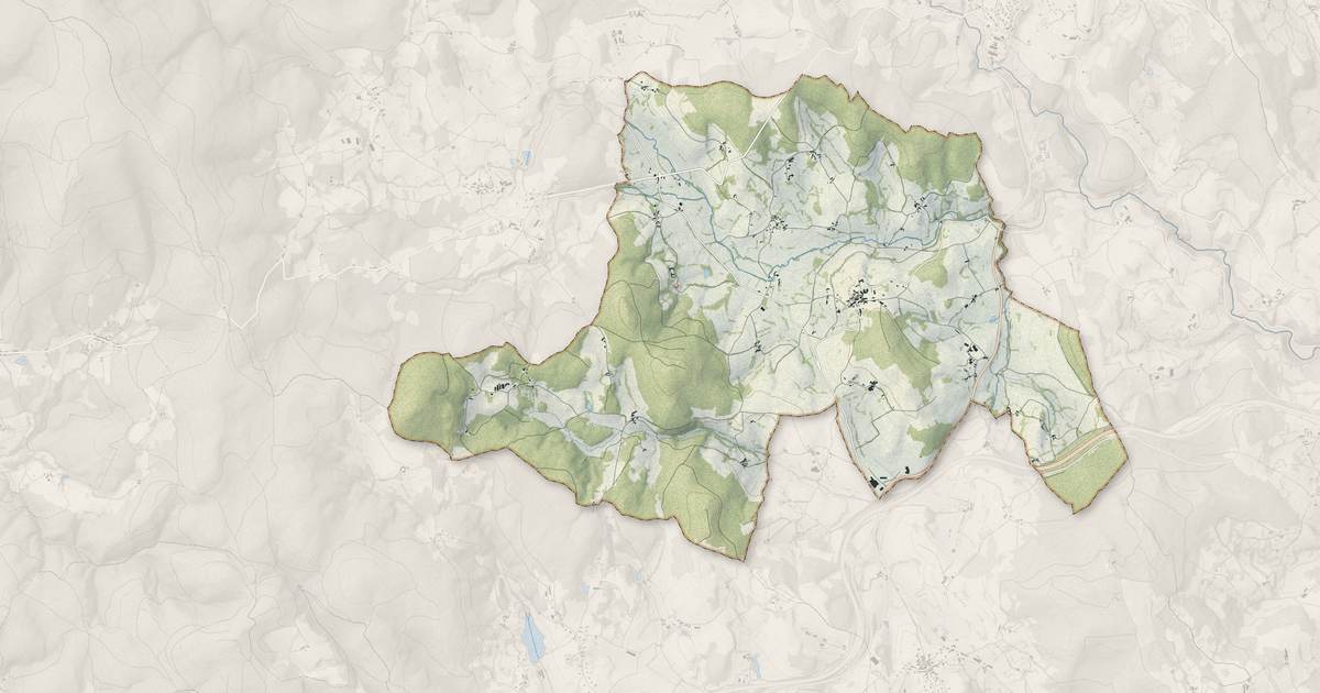 Portrait cartographique de Saint-Romain-d'Urfé : relief, eau, forêts, bâti et voies, calculés à partir des données de l'IGN