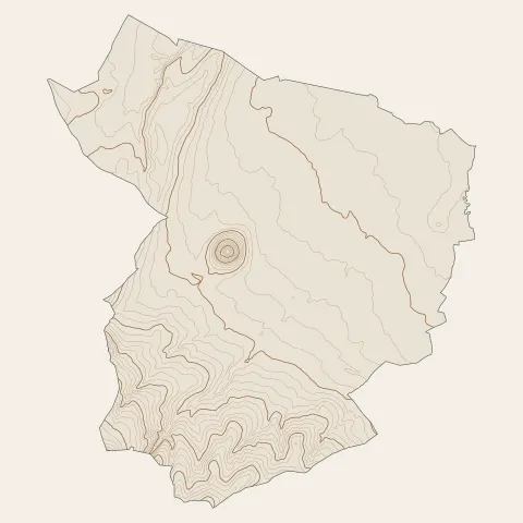 Saint-Romain-le-Puy : courbes de niveau