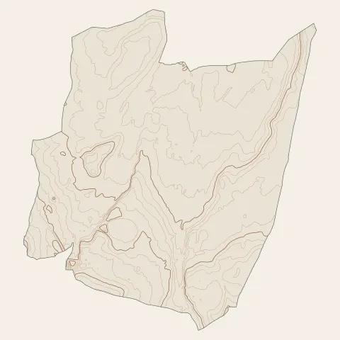 Savigneux : courbes de niveau