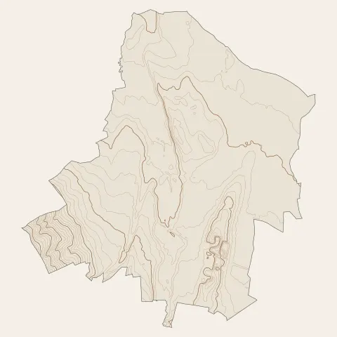 Sury-le-Comtal : courbes de niveau