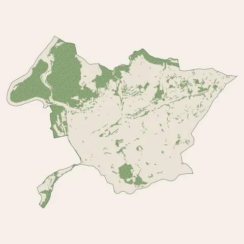 Unieux : bois, forêts et landes