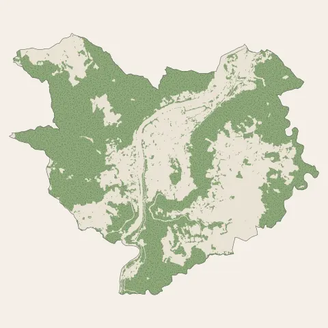 Aurec-sur-Loire : bois, forêts et landes