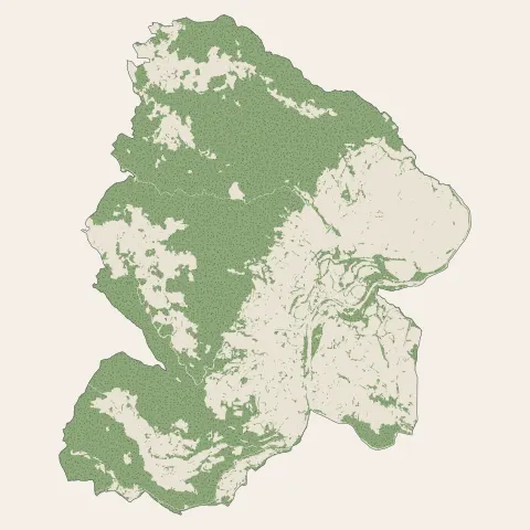 Bas-en-Basset : bois, forêts et landes