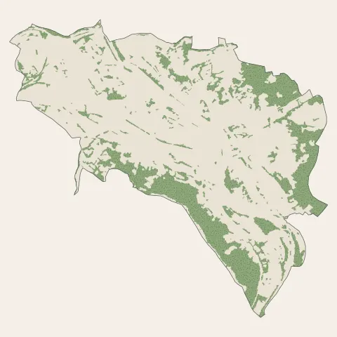 Brives-Charensac : bois, forêts et landes