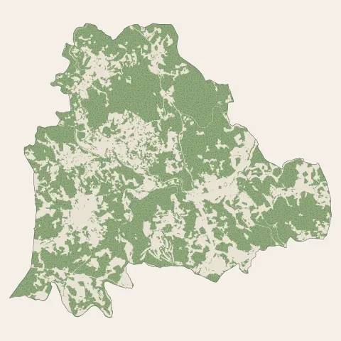 Le Chambon-sur-Lignon : bois, forêts et landes