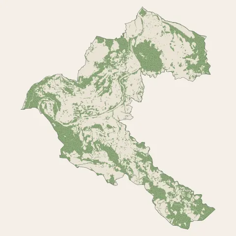 Coubon : bois, forêts et landes