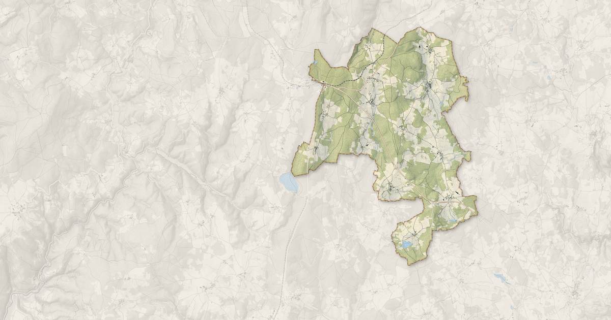 Portrait cartographique de Félines : relief, eau, forêts, bâti et voies, calculés à partir des données de l'IGN