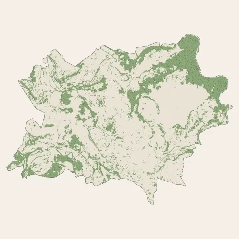 Polignac : bois, forêts et landes
