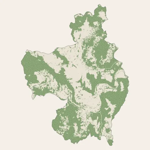 Retournac : bois, forêts et landes
