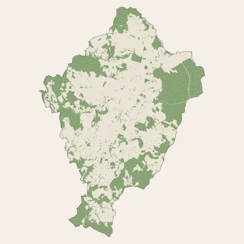 Saint-Didier-en-Velay : bois, forêts et landes