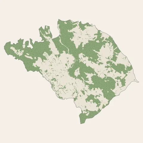 Saint-Just-Malmont : bois, forêts et landes