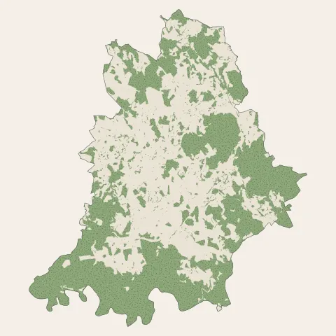 Saint-Pal-de-Mons : bois, forêts et landes