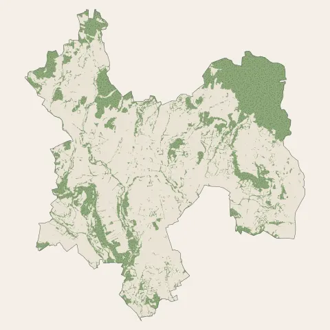 Saint-Paulien : bois, forêts et landes