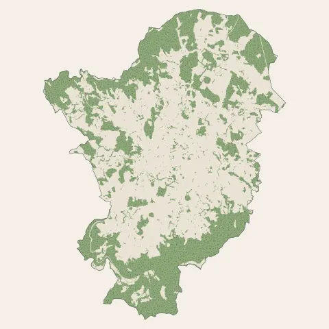 Sainte-Sigolène : bois, forêts et landes