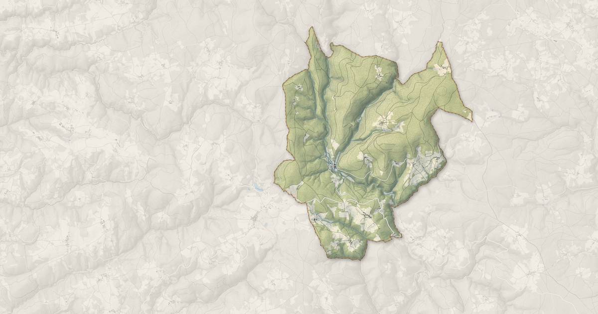 Portrait cartographique de Saint-Vert : relief, eau, forêts, bâti et voies, calculés à partir des données de l'IGN